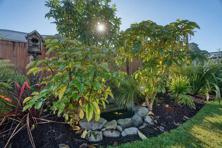 359b Kaniere Road Kaniere_25