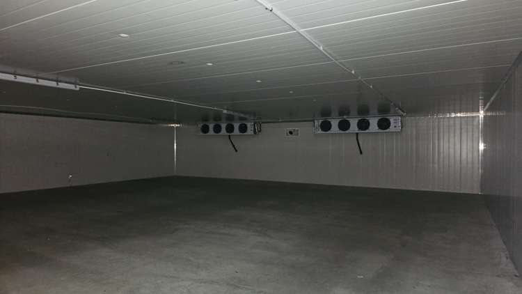 500 Williams Street Mahora_3