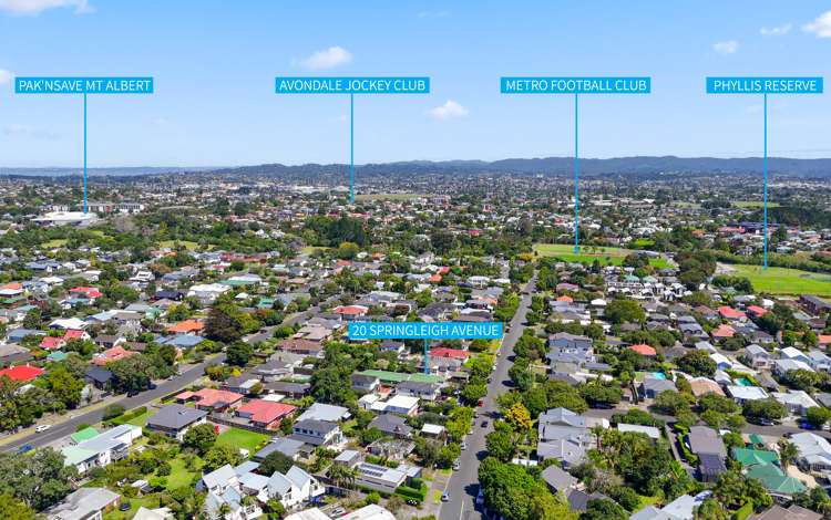 1, 2 & 3/20 Springleigh Avenue Mount Albert_7