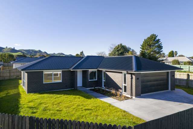 9 Toomey Street Waihi_2