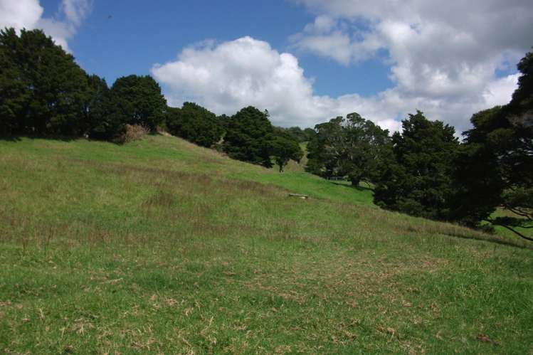 2568a Paparoa-Oakleigh Road Paparoa_6