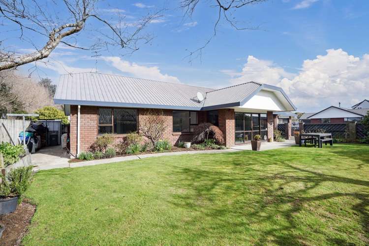 181 Ward Street Hargest_25