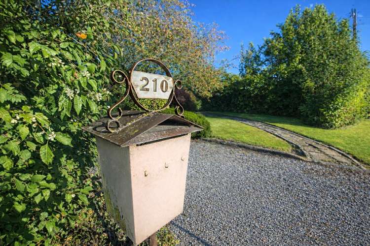 210 Broughton Street Gore_3