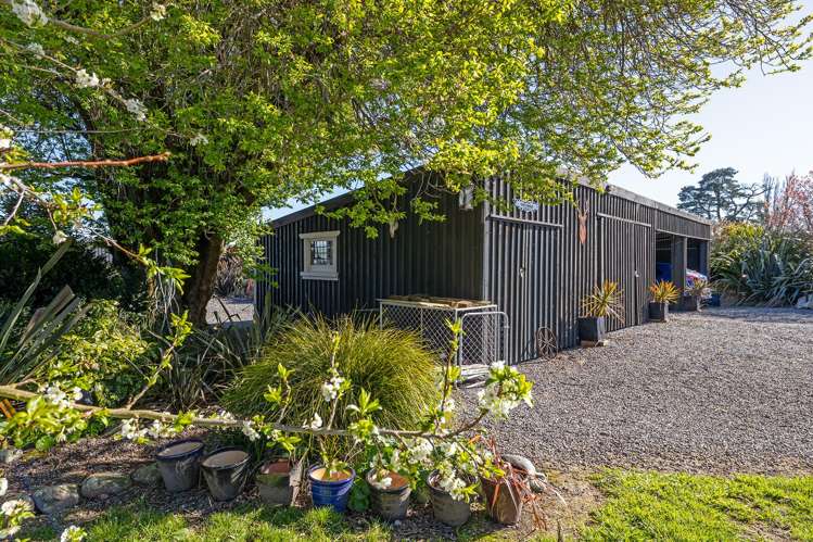 61 Te Ore Ore Bideford Road Masterton_15