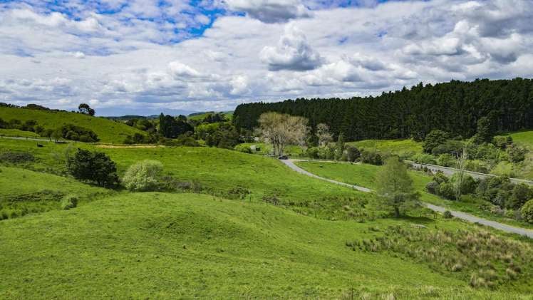 Lot 1 3315 State Highway 2 Waitakaruru_7