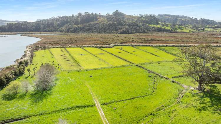 90 Camp Road, Coroglen Tairua_29