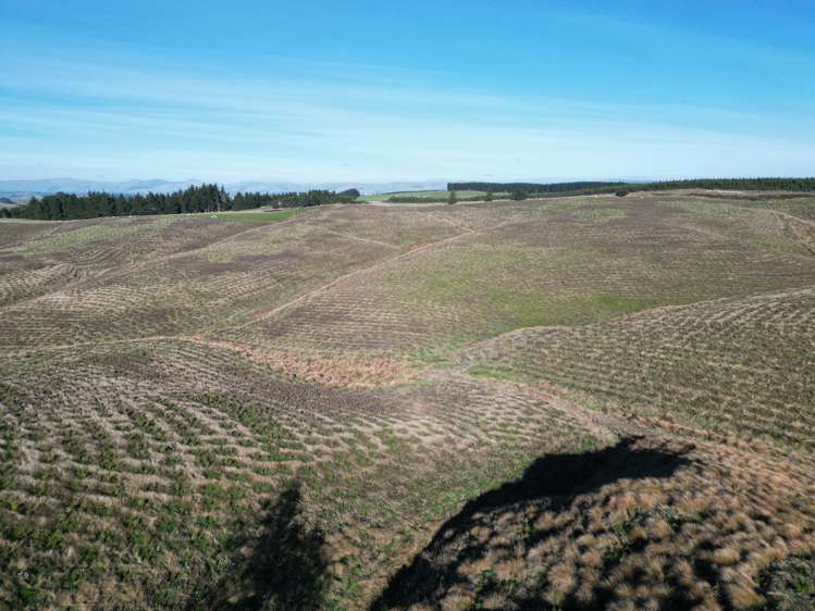Lot 2/339 Rankleburn Road Rankleburn_11