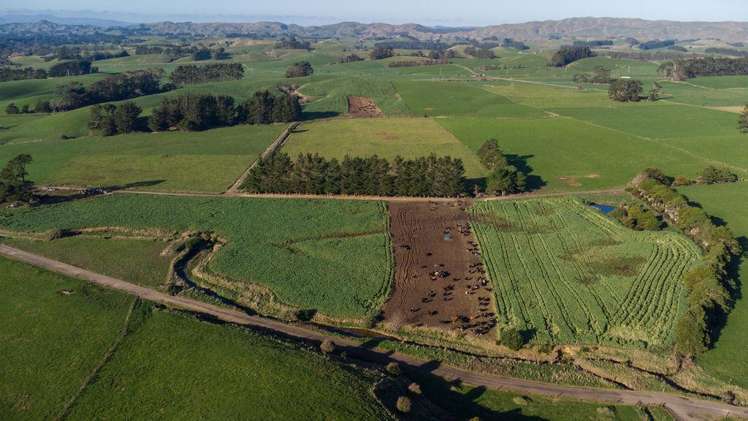 454 Parkville Road Eketahuna_7