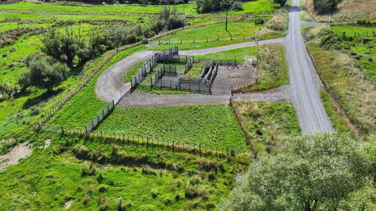 Mikimiki Road Masterton_17
