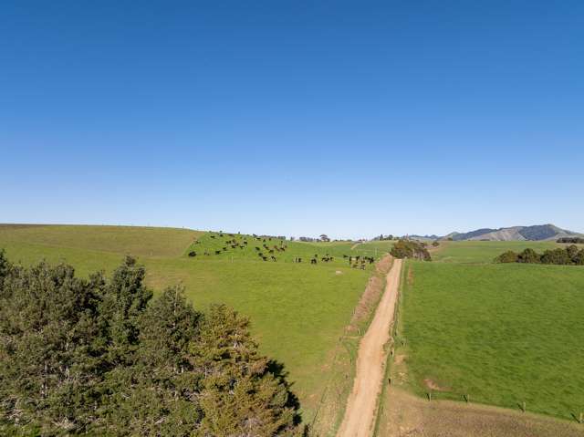 1215 Tahuna Road Waiterimu_1