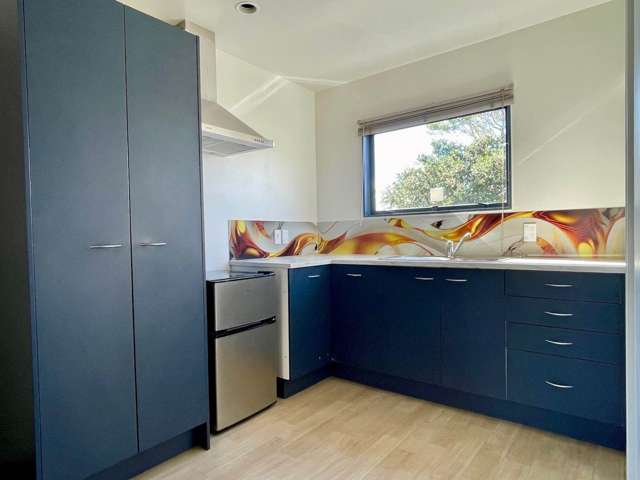 1598B Great North Road Waterview_4