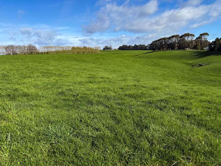 473 Clifden Gorge Road Eastern Bush_28