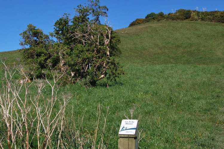 22 Boyd Terrace Newtown_15