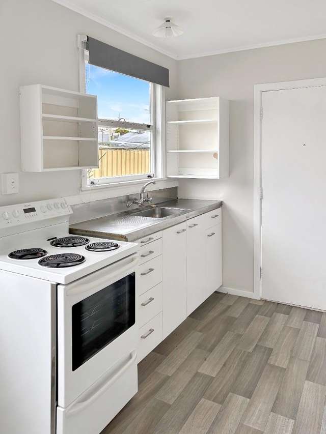 105 (*) Hapuku Street 10481_1