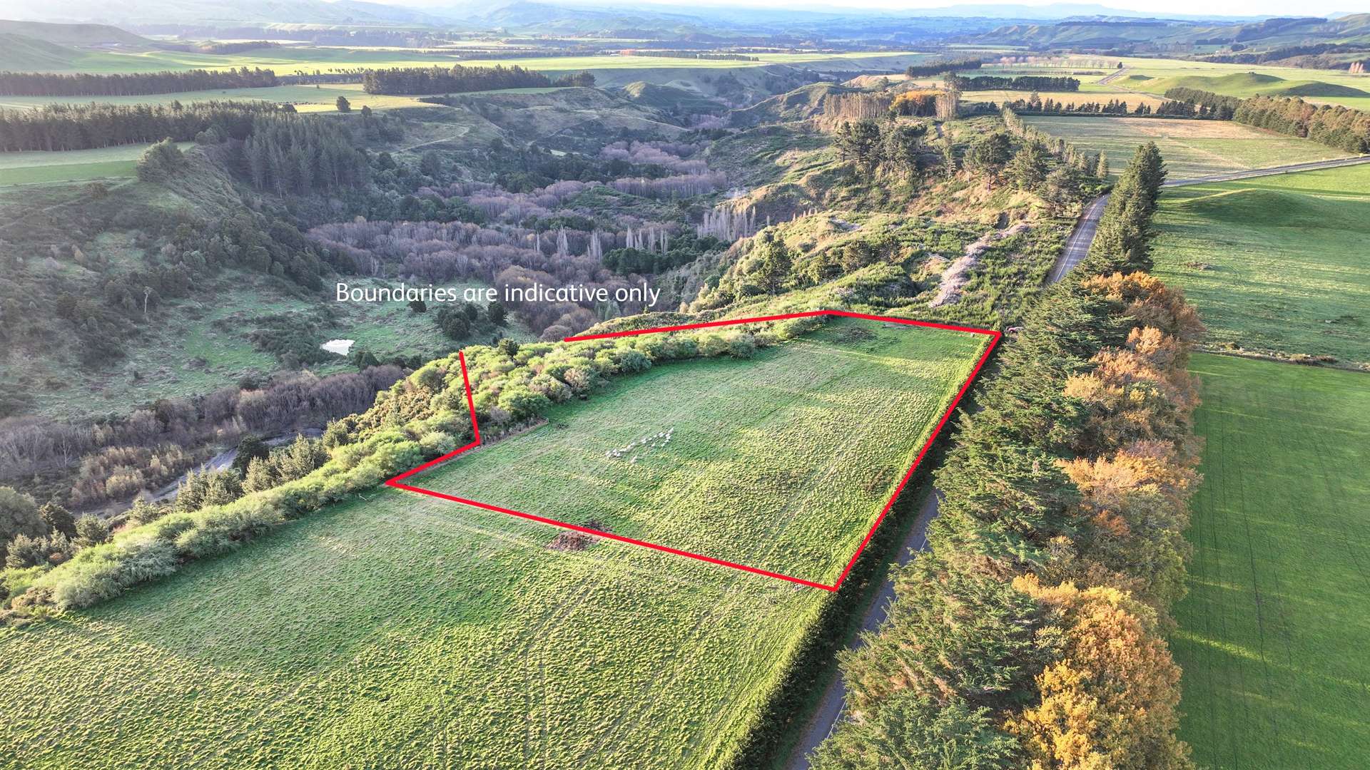 2120 Kereru Road Central Hawkes Bay Country_0