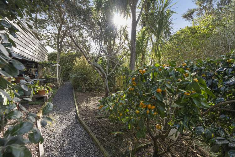 17 Oruamo Place Beach Haven_21