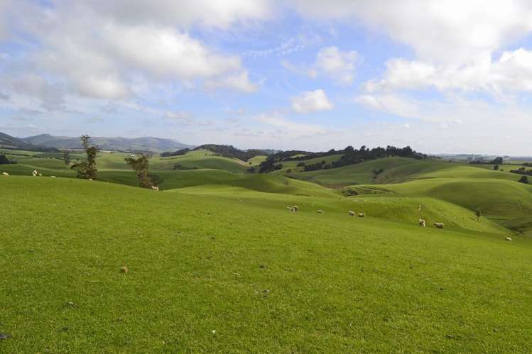 38 Greenall Road Balclutha_15