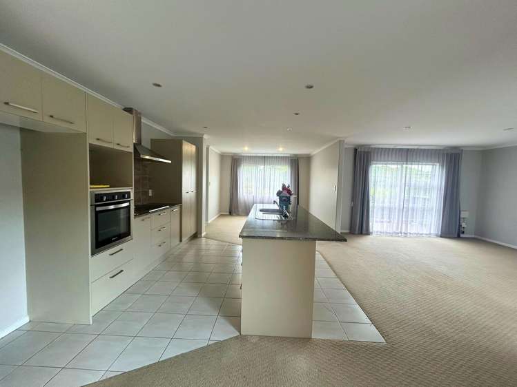 3 Savona Drive Flat Bush_6