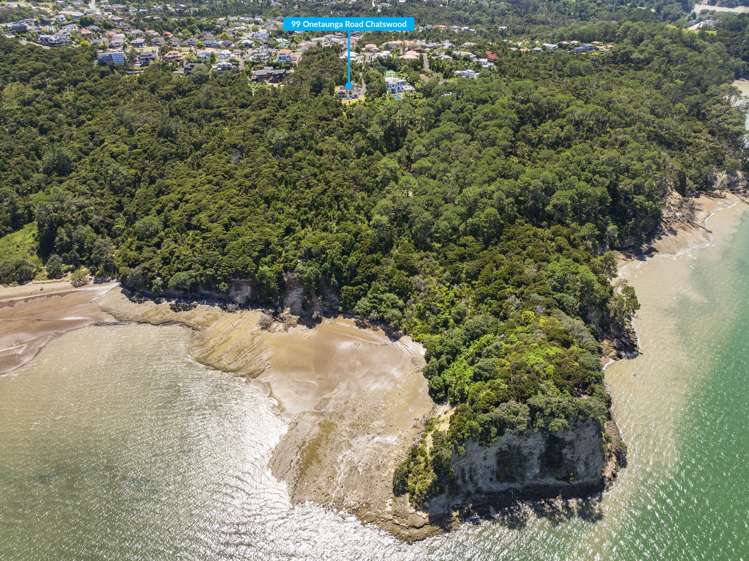 99 Onetaunga Road Chatswood_17