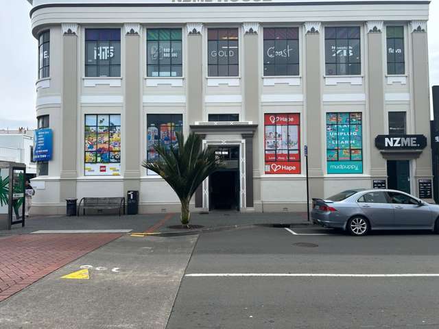 105 Dickens Street Napier Cbd_1