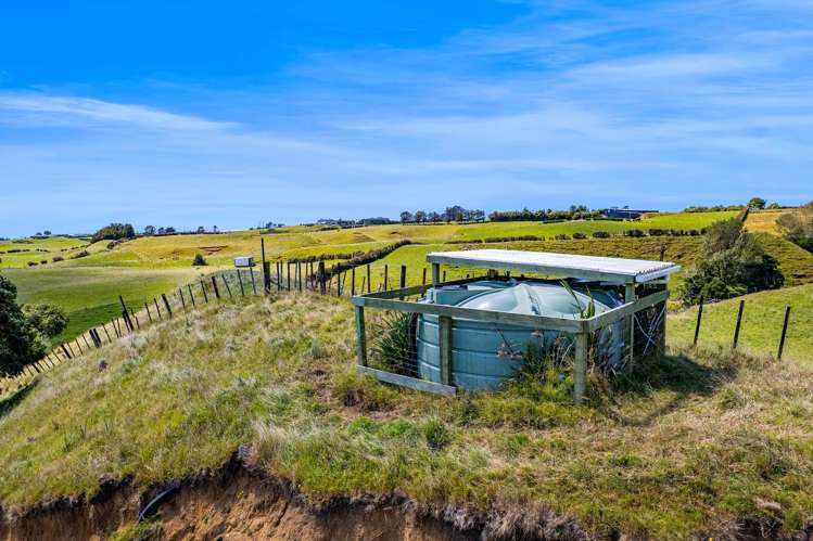 77c Dorset Road Hillsborough_34