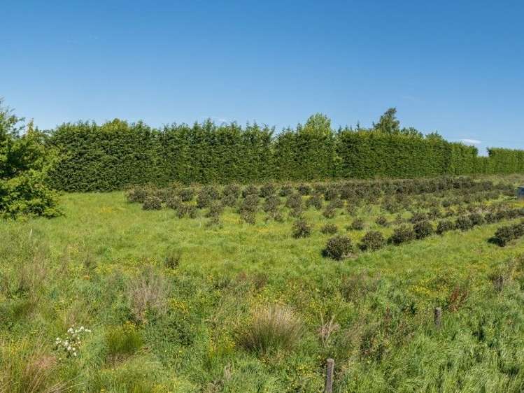 1 Apple Valley Road East Mahana_11