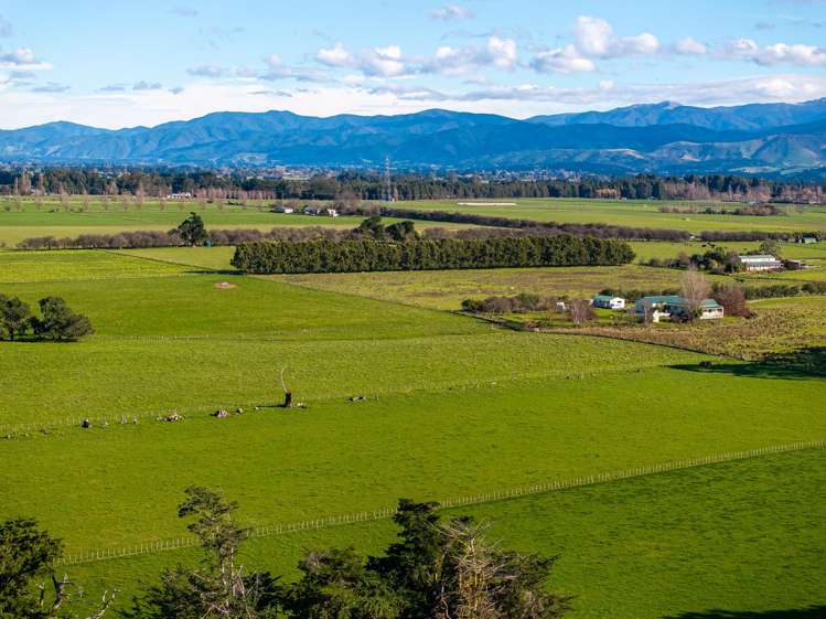 326 Cornwall Road East Taratahi_12