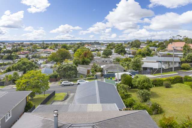 101 Awaroa Road Sunnyvale_4