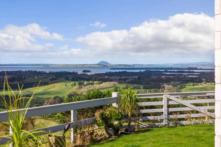 345A Lindemann Road Katikati_20