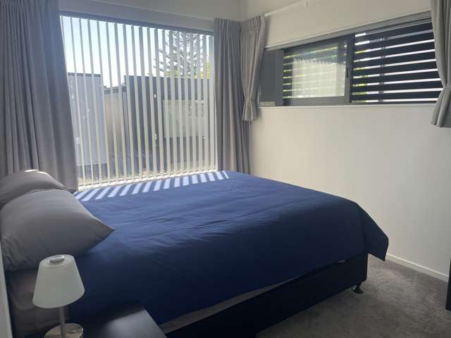 14B Andrew Road Howick_3
