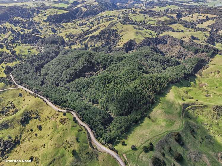 Address withheld Whangarei Surrounds_5