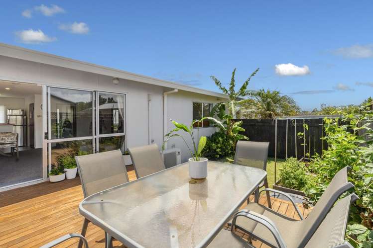 411B Ngatai Road Bellevue_0