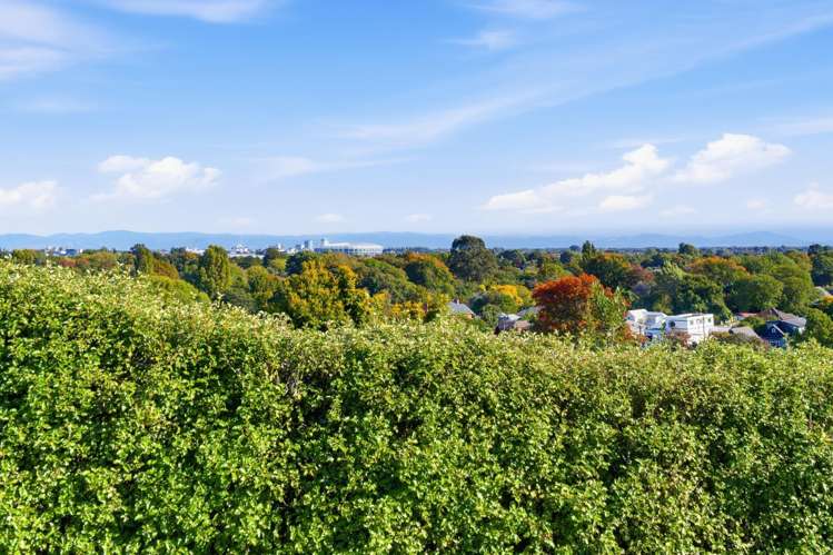 365 Centaurus Road Hillsborough_31