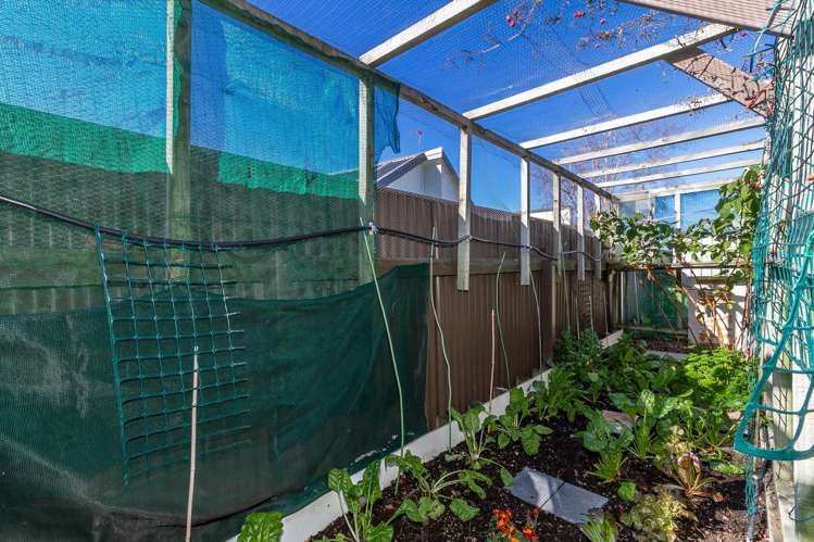 502a Kennedy Road Greenmeadows_16