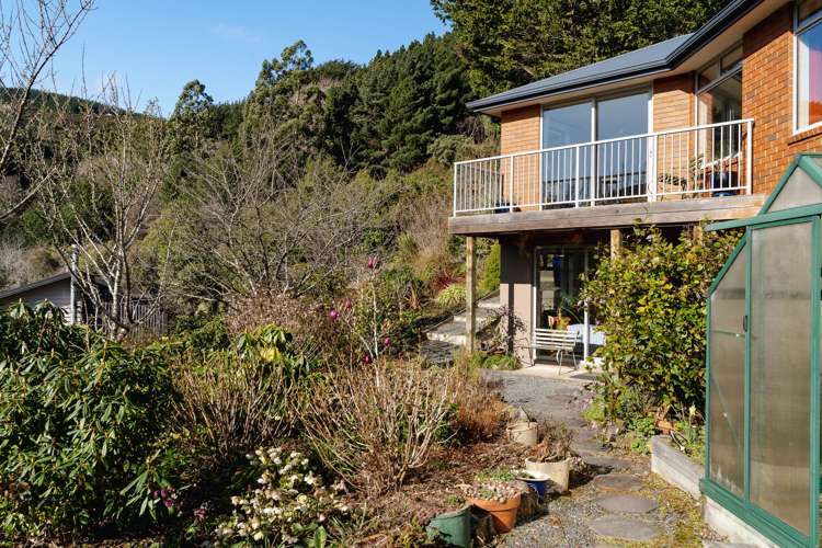 36 Cardigan Street North East Valley_33