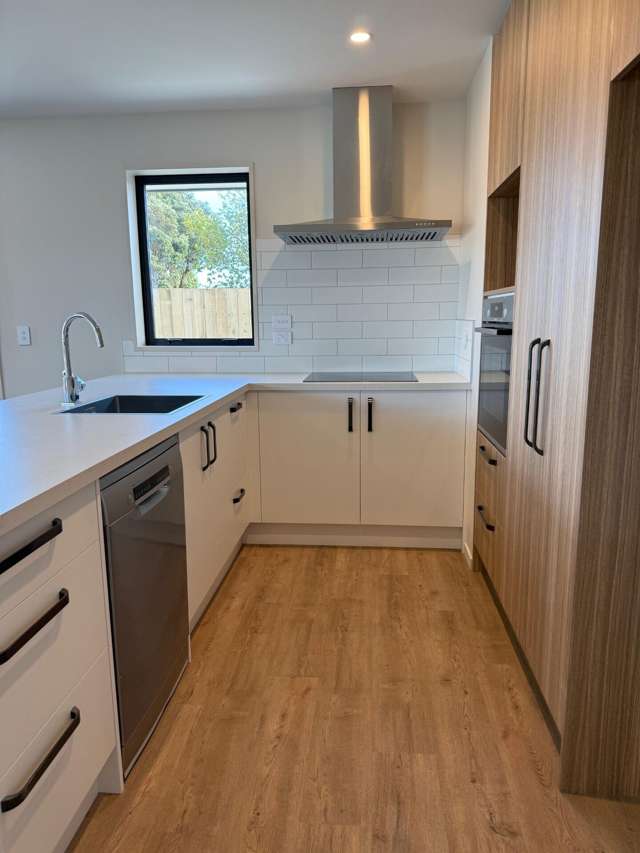 Lot 4/- Liz Cameron Lane Hokitika_2