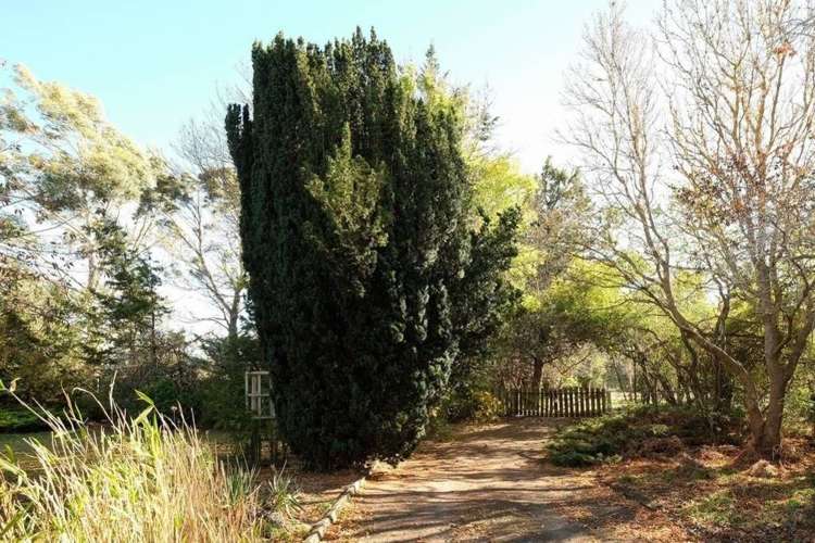 172 Overtons Road Scargill_11