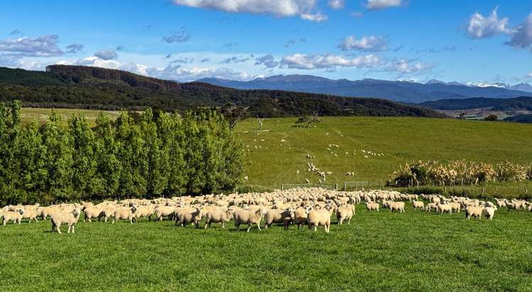 21 Lillburn Valley Road Clifden_10