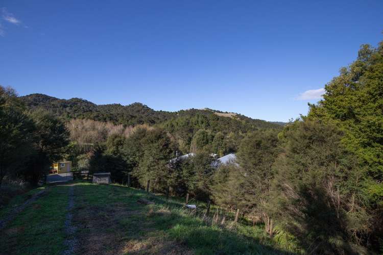 99 Otonga Valley Road Raglan_30