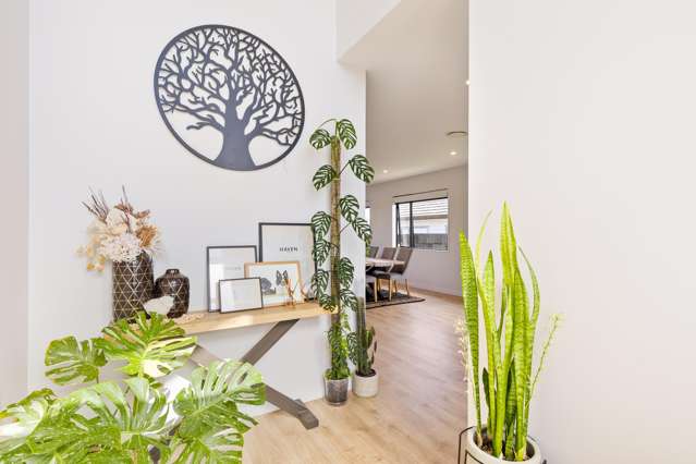 46 Siren Street Milldale_4