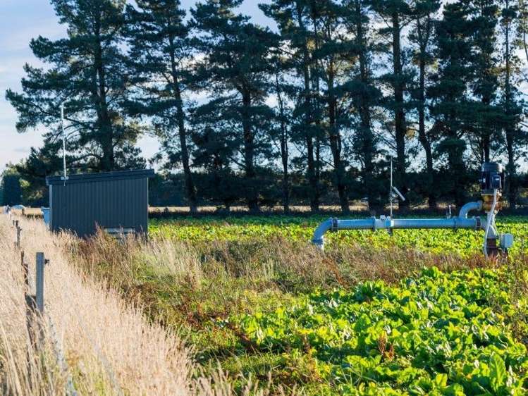 1347 Rakaia Highway Chertsey_15