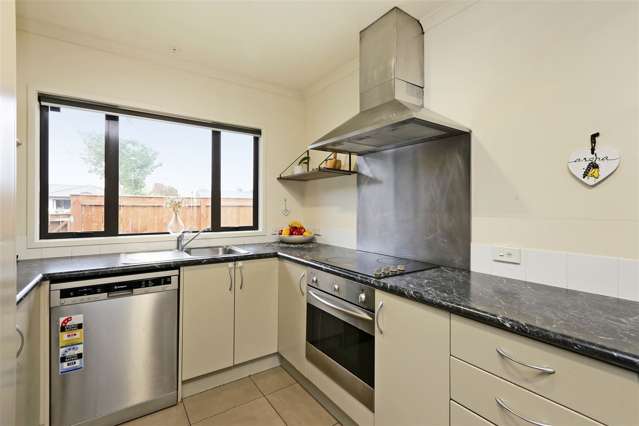 3 Chatham Mews Flaxmere_1