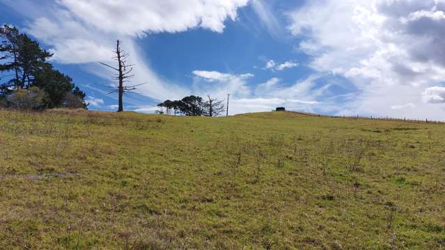 Wearmouth Road Paparoa_2