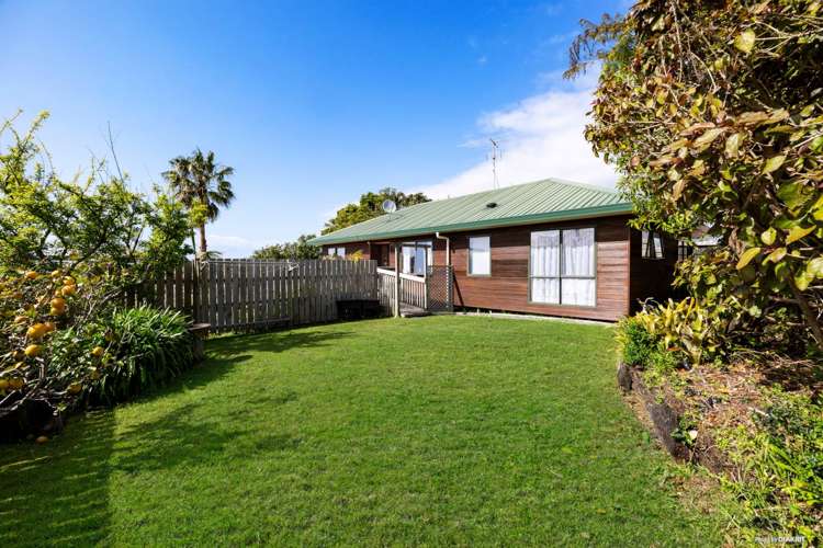 8A Matai Road Stanmore Bay_13