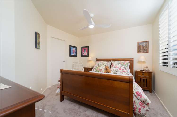 41 Reading Street Greytown_8