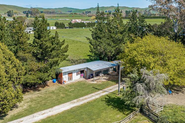 264 Paki Paki Road Longlands_34