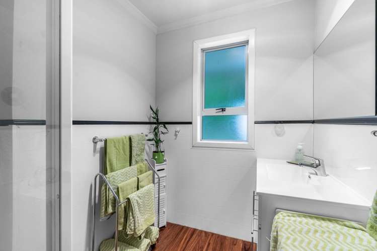 31 Theodore Street Bluff_11