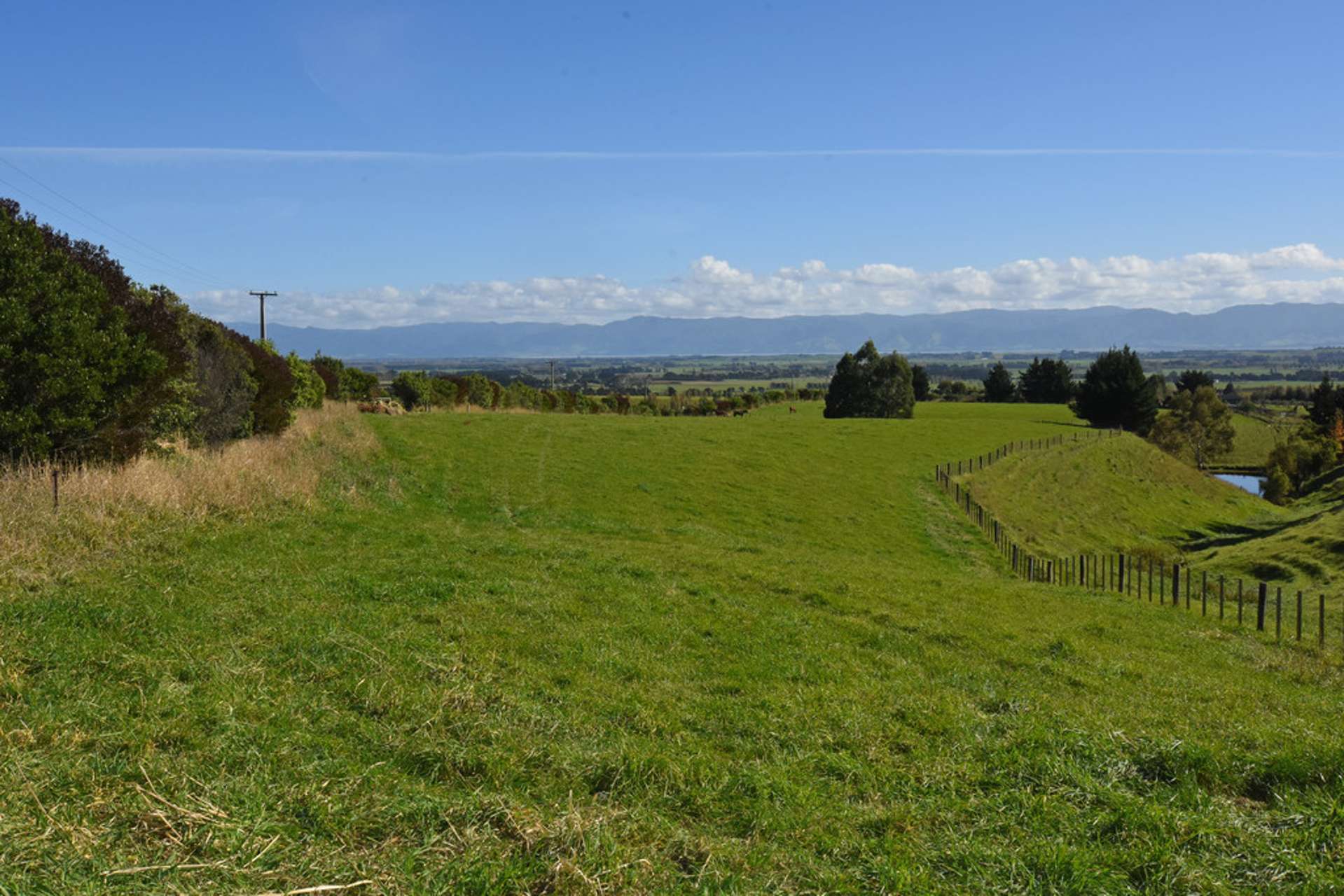 121 Southdown Drive Martinborough_0