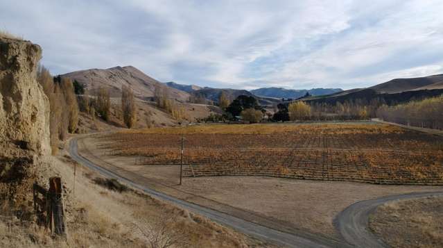 376 Ram Paddock Road Waipara_1