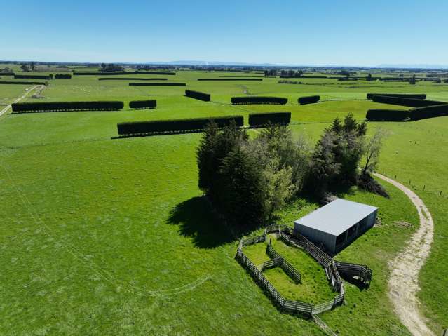 616 Woodlands Road Mokotua_1